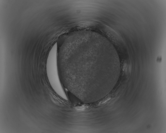 X0000092080868200710101038