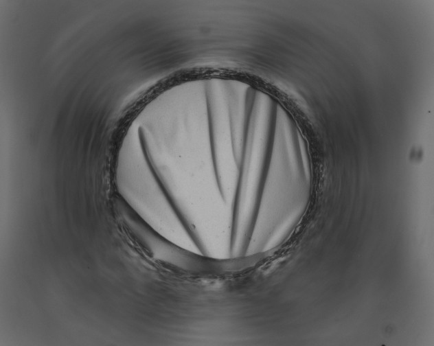 X0000092080872200710101038