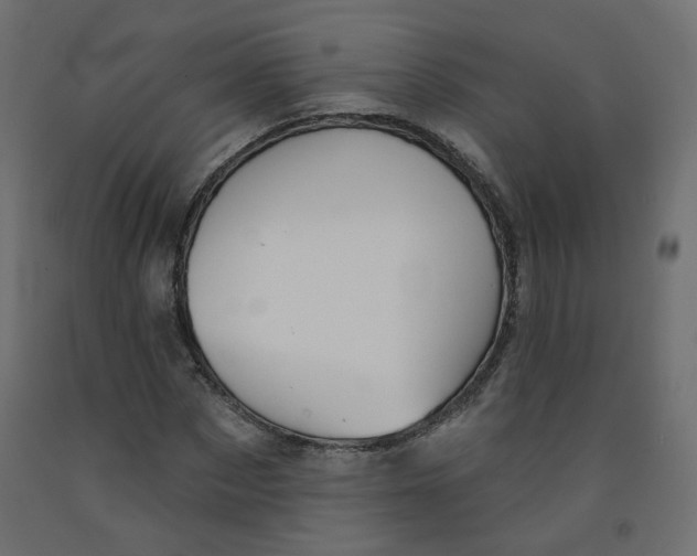 X0000092080873200710101038