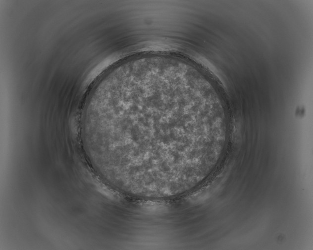 X0000092080874200710101038