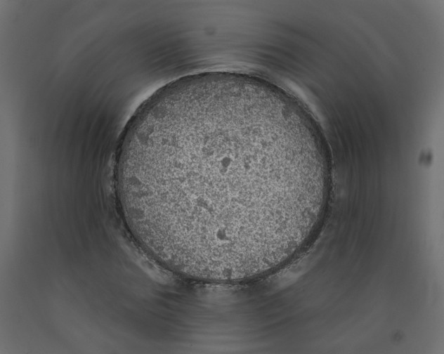 X0000092080875200710101038