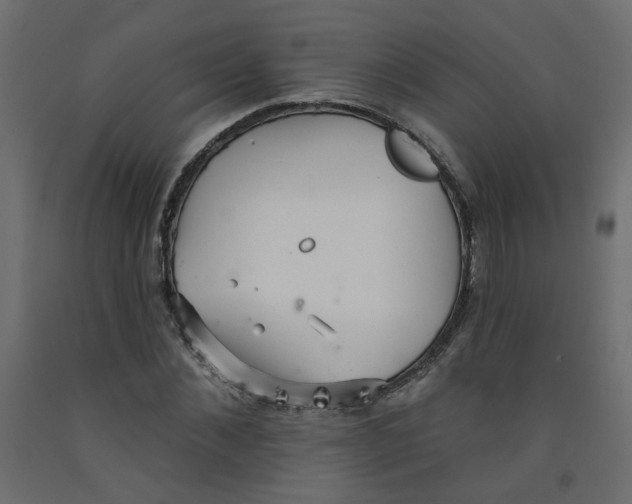 X0000092080876200710101038