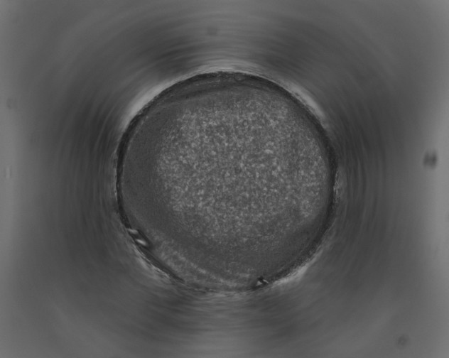 X0000092080877200710101038