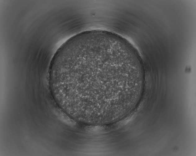 X0000092080879200710101038