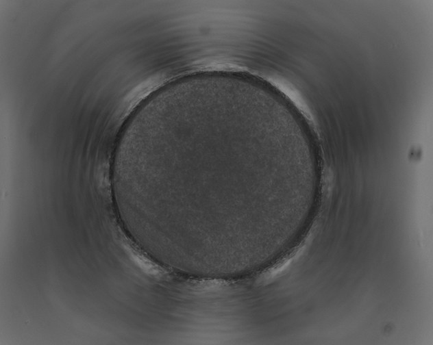 X0000092080881200710101038