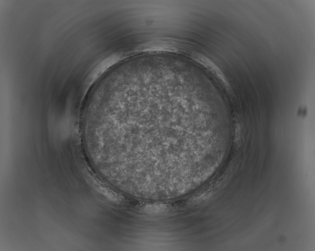 X0000092080882200710101038