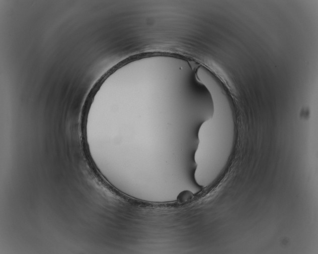 X0000092080884200710101038