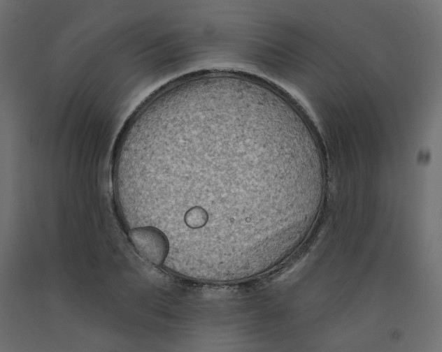 X0000092080887200710101038