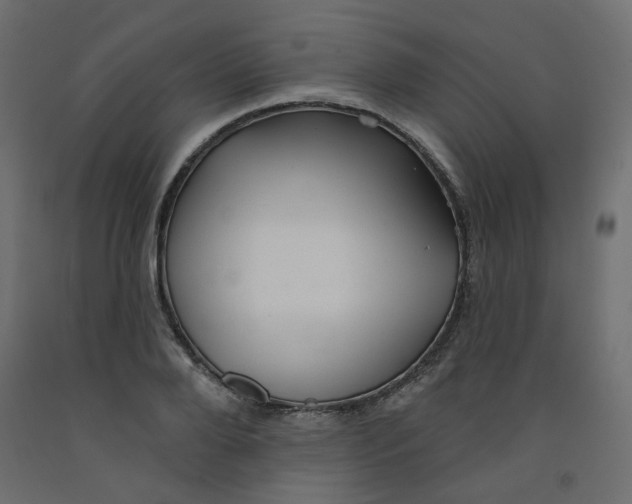 X0000092080888200710101038