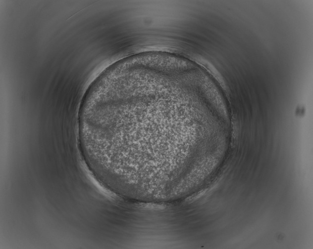 X0000092080890200710101038