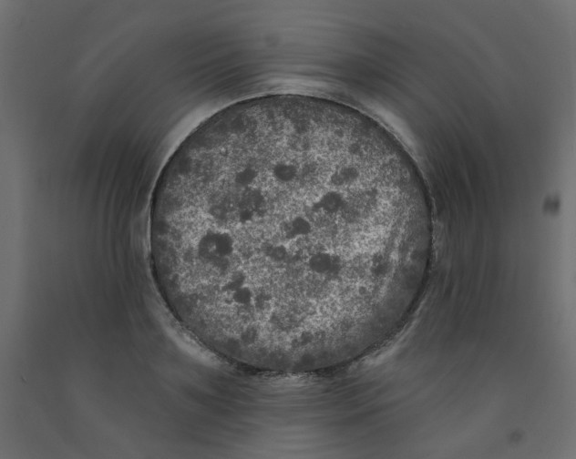 X0000092080891200710101038