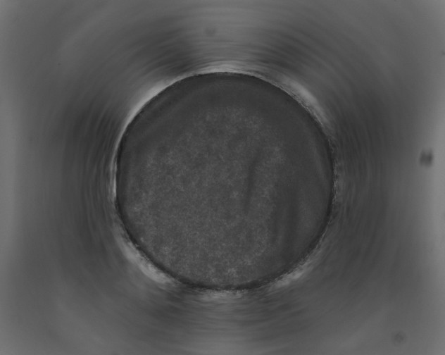 X0000092080892200710101038