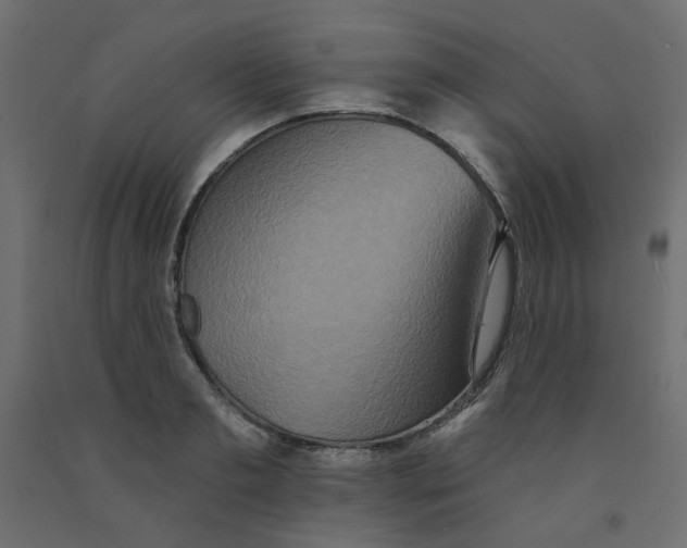 X0000092080893200710101038