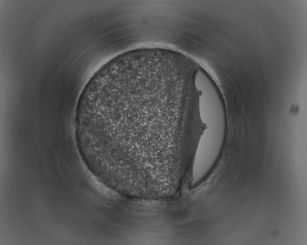 X0000092080895200710101038