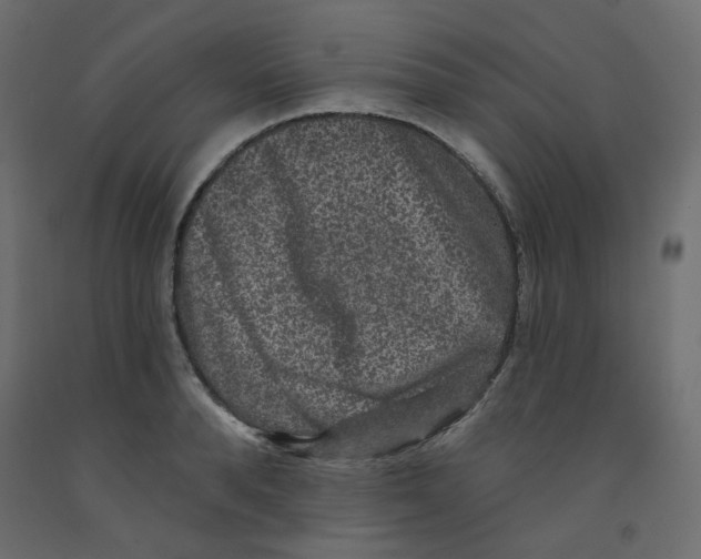 X0000092080896200710101038