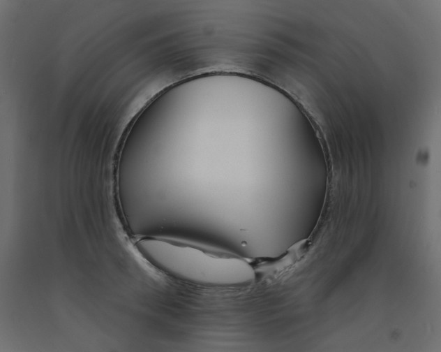 X0000092080898200710101038