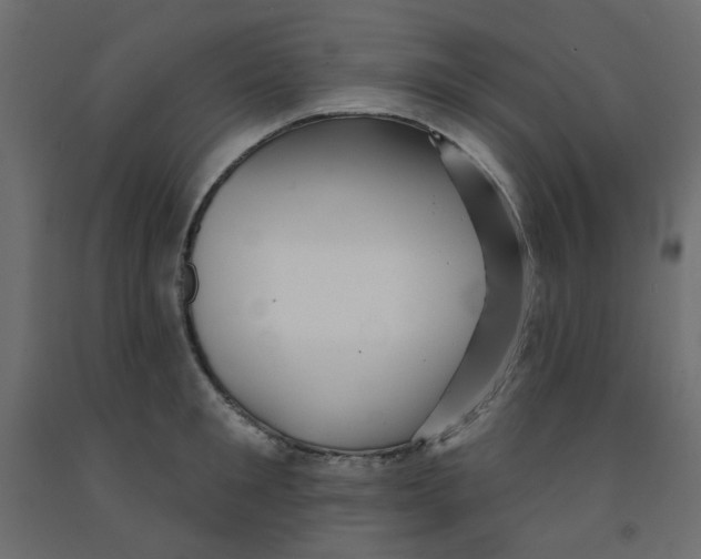 X0000092080901200710101038