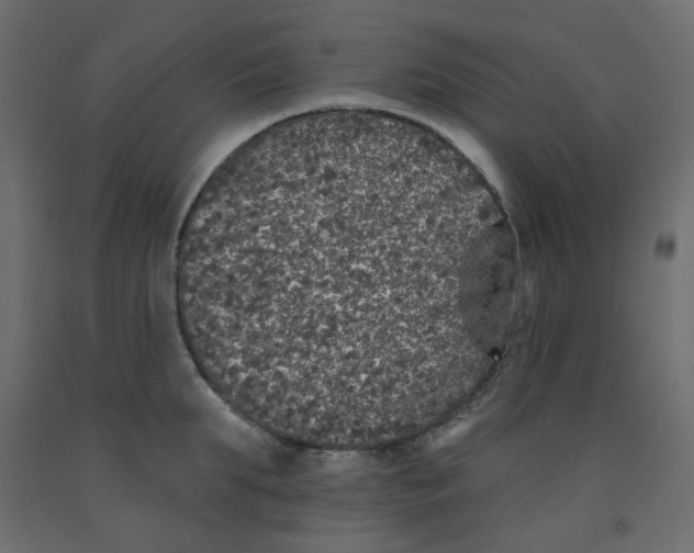 X0000092080903200710101038