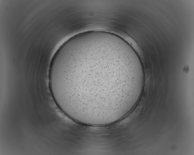 X0000092080904200710101038