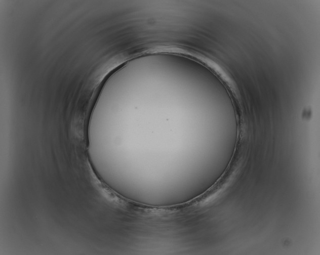 X0000092080905200710101038