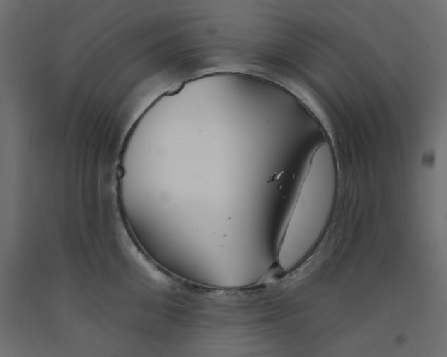 X0000092080906200710101038