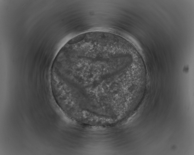 X0000092080907200710101038