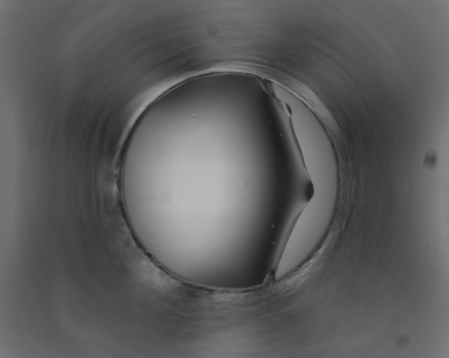 X0000092080908200710101038