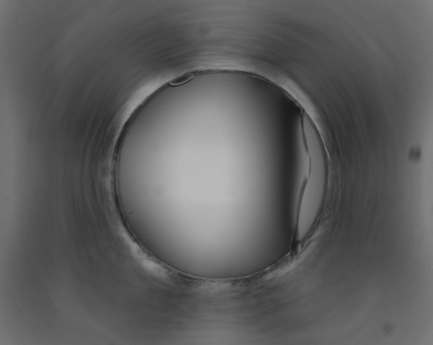 X0000092080909200710101038