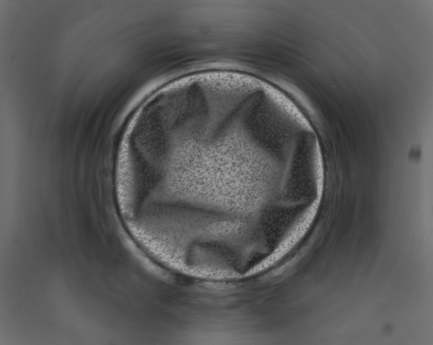 X0000092080910200710101038