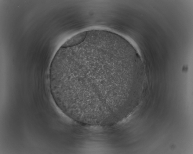 X0000092080911200710101038