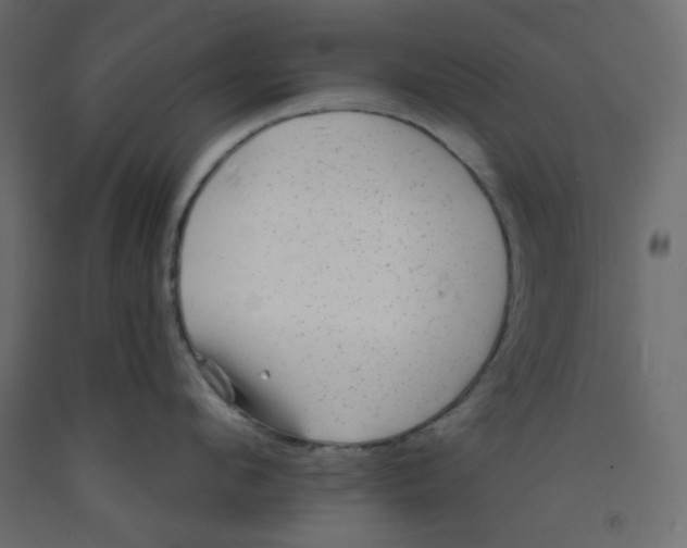 X0000092080912200710101038