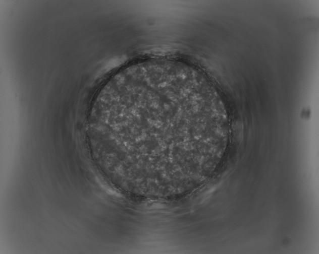 X0000092080913200710101037