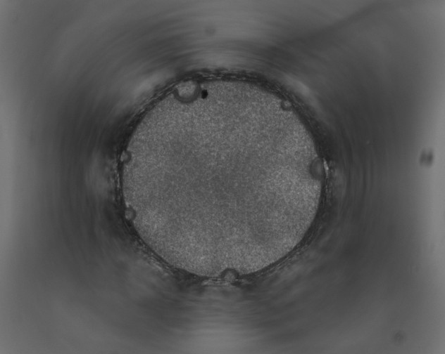 X0000092080918200710101037