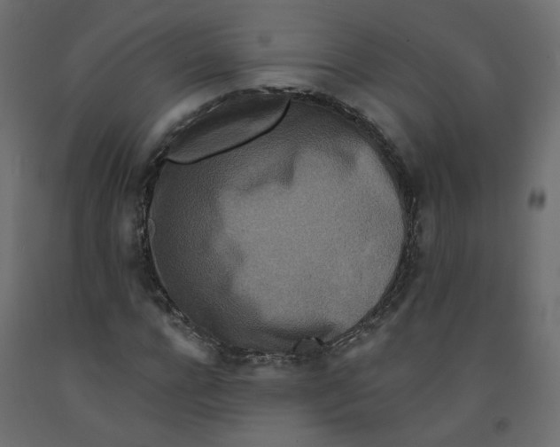 X0000092080920200710101037