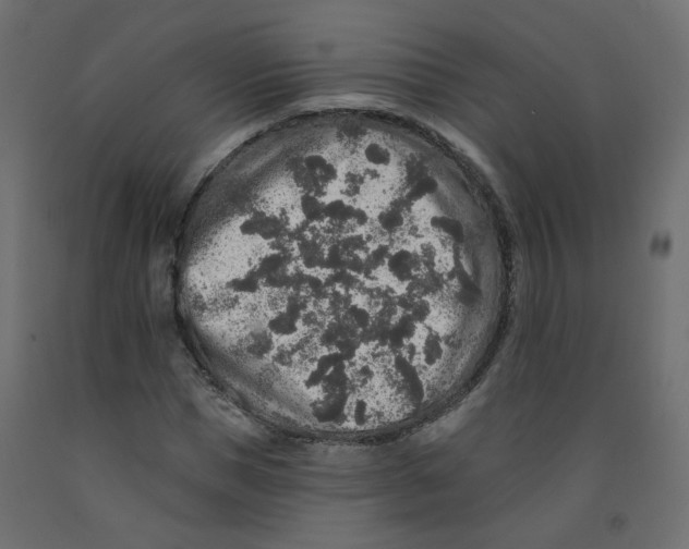 X0000092080921200710101037