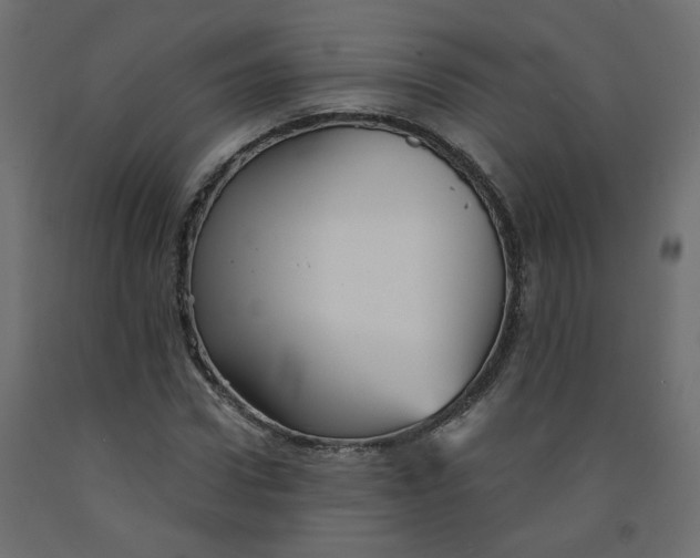 X0000092080922200710101037