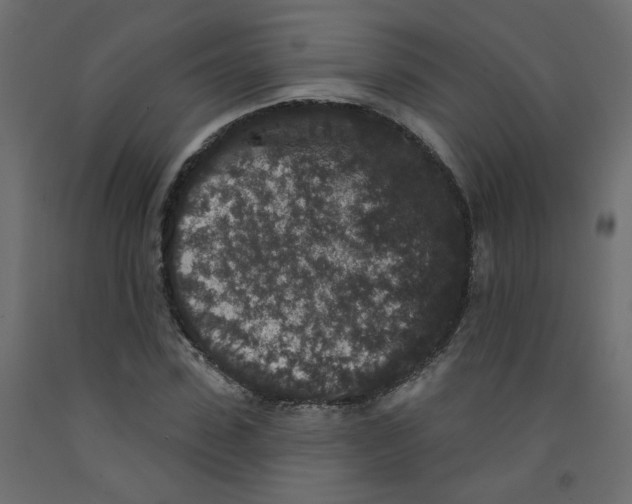 X0000092080923200710101037