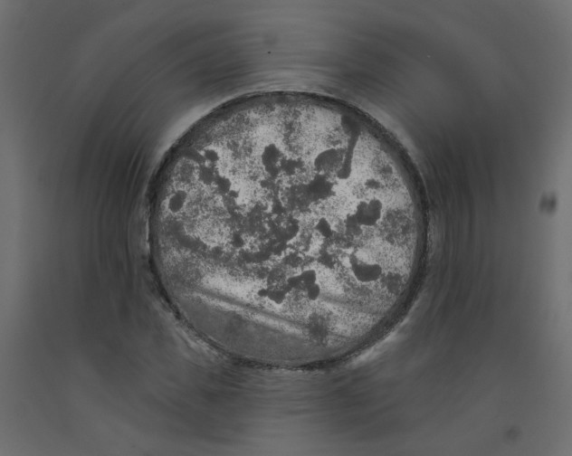 X0000092080925200710101037