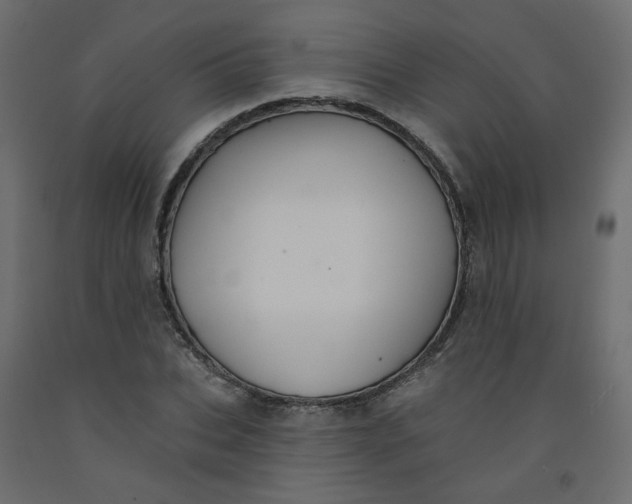 X0000092080927200710101037