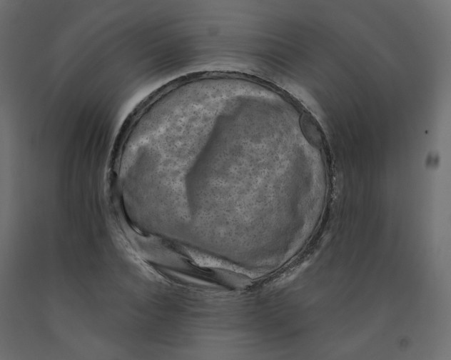 X0000092080928200710101037