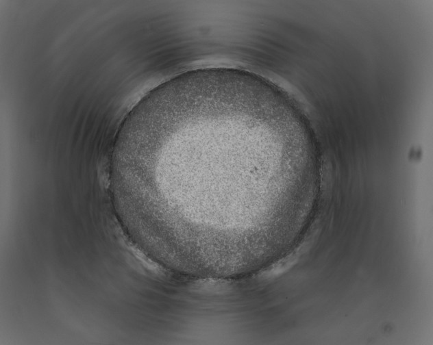 X0000092080929200710101037