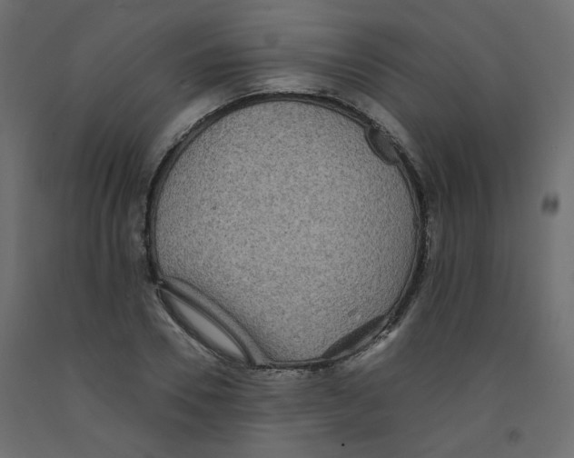 X0000092080930200710101037