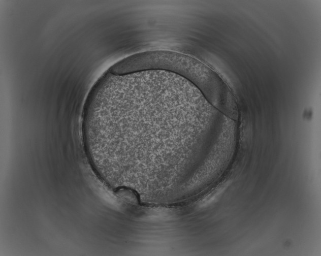 X0000092080932200710101037