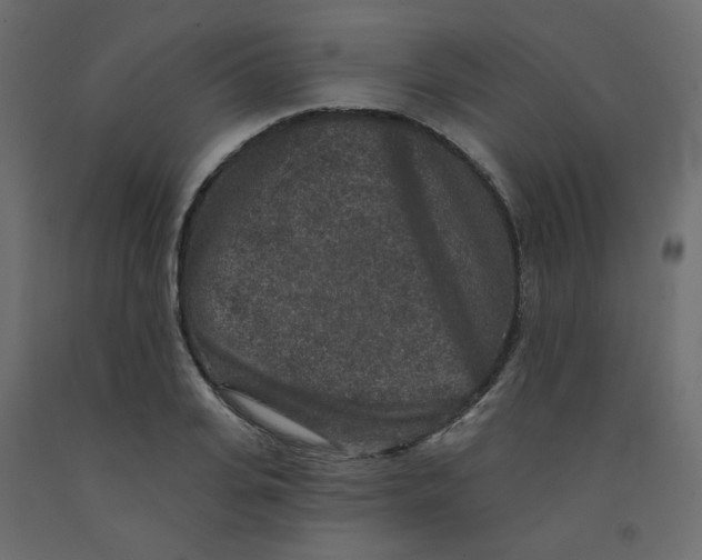 X0000092080935200710101037