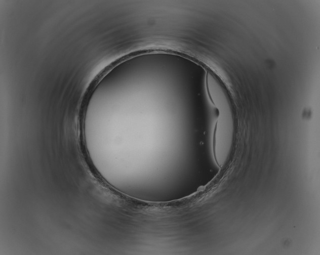 X0000092080936200710101037