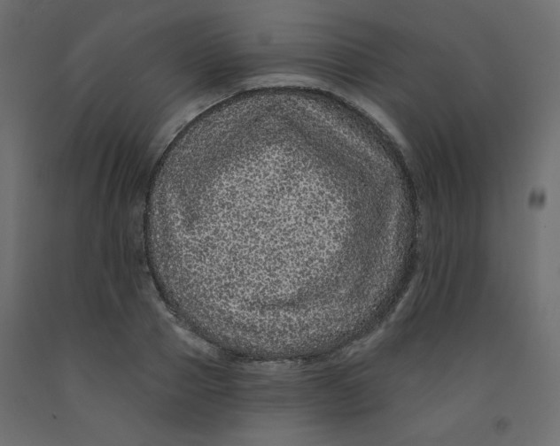 X0000092080937200710101037