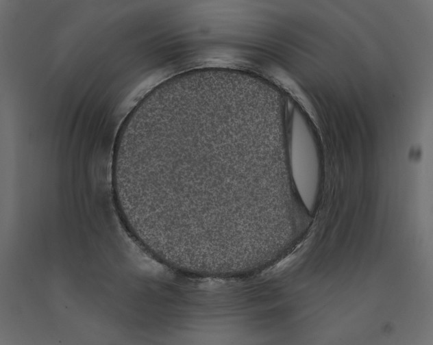 X0000092080938200710101037