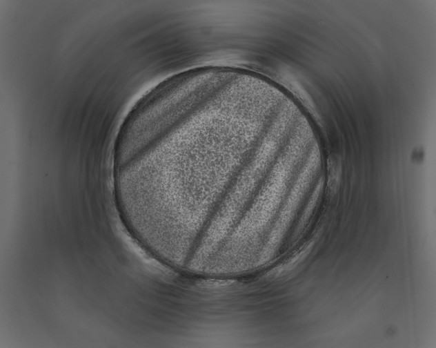 X0000092080939200710101037