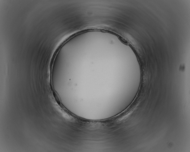 X0000092080940200710101037