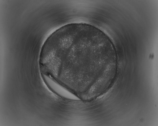 X0000092080943200710101037